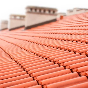 close-up-tiled-roof